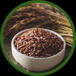 Gạo lứt huyết rồng